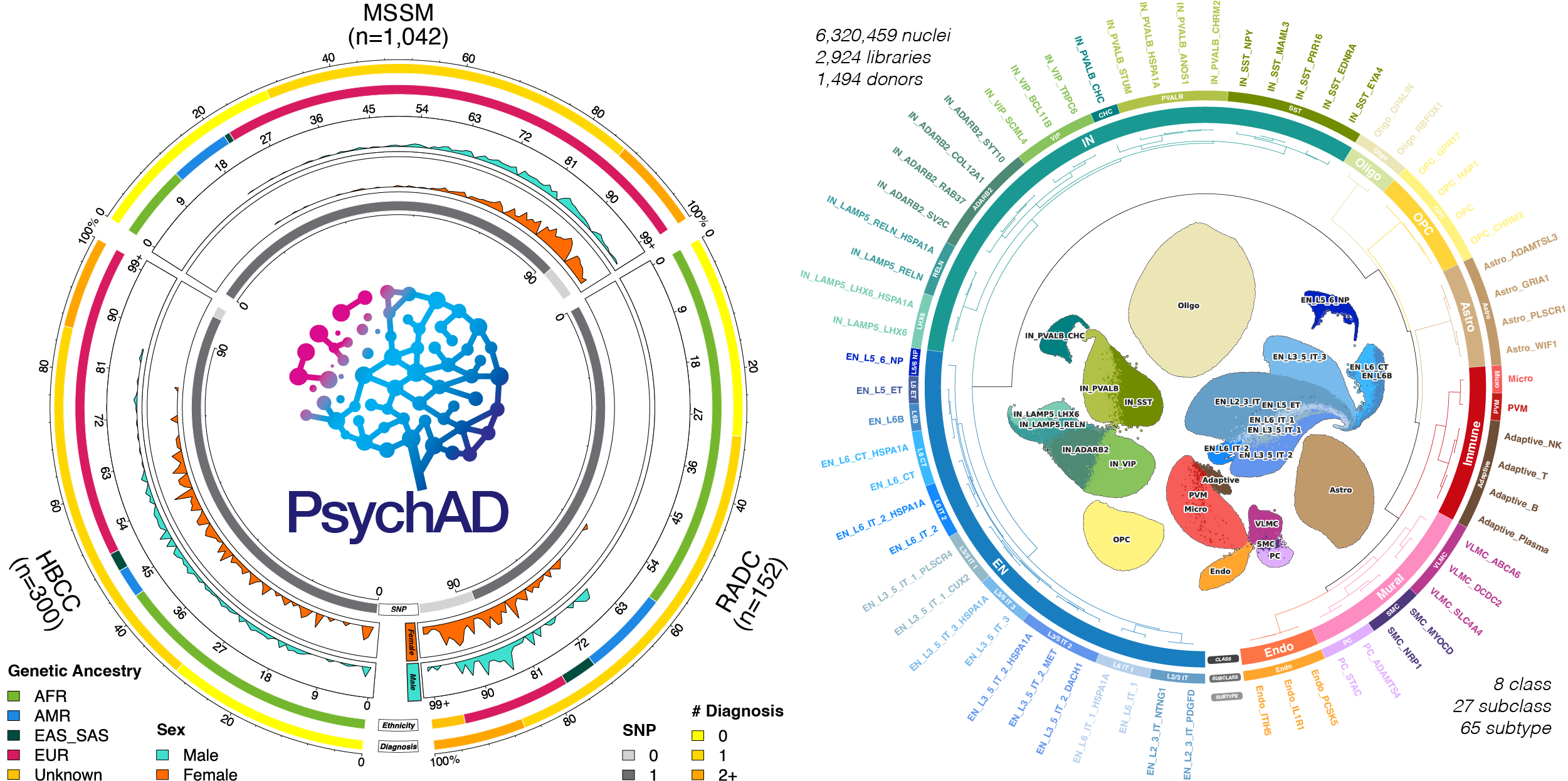 CAPSTONE graphical abstract