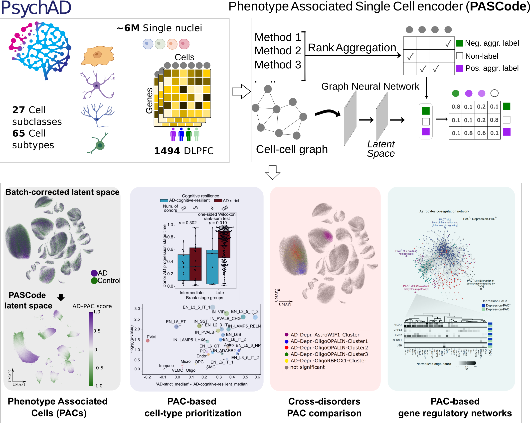 DISEASE 3 graphical abstract