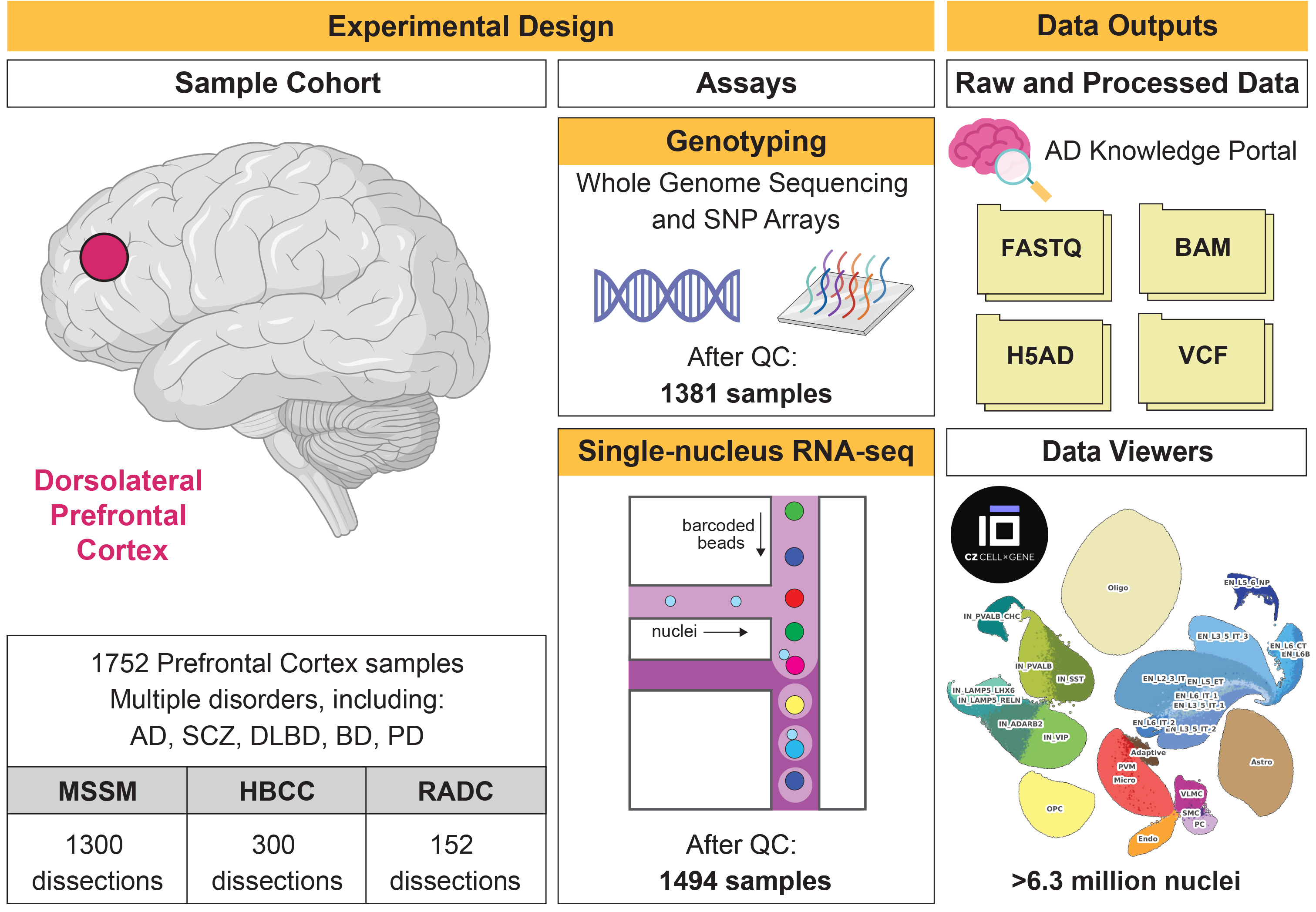 RESOURCE graphical abstract